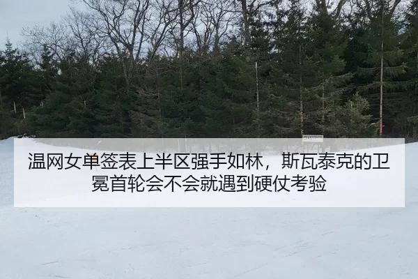 wen-wang-nv-dan-qian-biao-shang-ban-qu-qiang-shou-ru-lin-si-wa-tai-ke-de-wei-mian-shou-lun-hui-bu-hui-jiu-yu-dao-ying-3-912.jpg